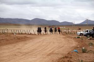 Vitesse course cheval de la waada de Magoura, Tlemcen