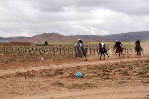 course chevaux de la waada de Magoura, Tlemcen