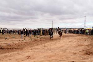 course chevaux en direct de la waada de Magoura, Tlemcen
