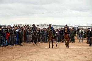 Courses chevaux  Waada de Magoura, commune d\'El Bouihi, et course hippique organisée en parallèle