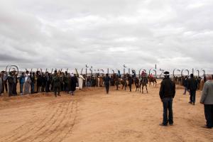 Depart course de chevaux Tlemcen  Waada de Magoura, commune d\'El Bouihi, et course hippique organisée en parallèle