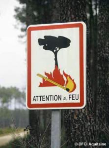 Algérie - Incendies de forêt: Pleins feux sur la prévention