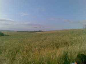 عام خيــــــــــر