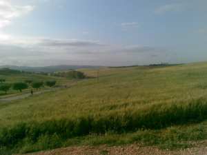 عام خيــــــــــر