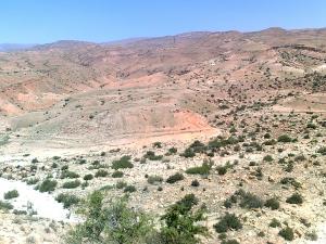 el oulja el khadhra M'ziraa !