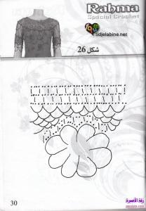 صدور كروشي 2013 الصفحة 31