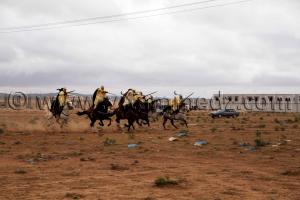 Fantasia  Waada de Magoura, commune d\'El Bouihi, et course hippique organisée en parallèle
