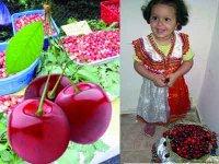 IBOUDRARÈNE -  Quatrième édition de la Fête de la cerise