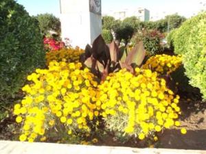 Place du 8 mai 1945 à Sétif