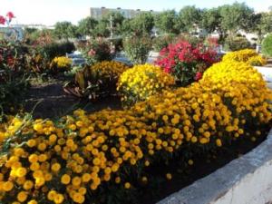 Place du 8 mai 1945 à Sétif