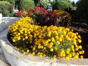 Place du 8 mai 1945 à Sétif