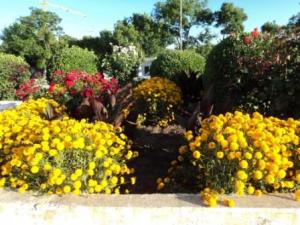 Place du 8 mai 1945 à Sétif