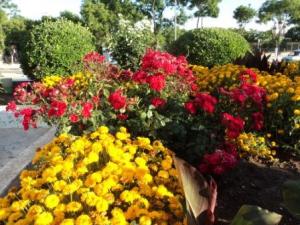 Place du 8 mai 1945 à Sétif