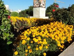 Place du 8 mai 1945 à Sétif