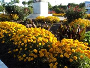 Place du 8 mai 1945 à Sétif