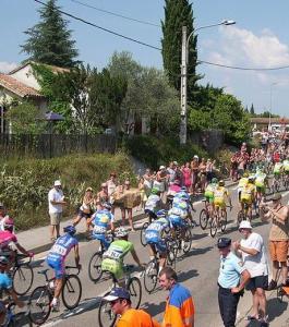 Planète - Le 100e Tour de France, une belle occasion de partir à la découverte de la biodiversité de nos régions