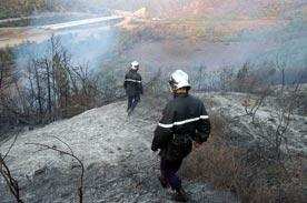 SIDI-BEL-ABBÈS -  La Mekerra retient son souffle pour les feux de forêt