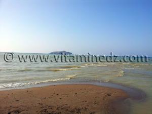 RÉGATE NATIONALE DE VOILE Près de 100 participants à Rachgoune