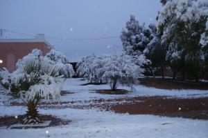 تساقط الثلوج ببلدية موغل بشار