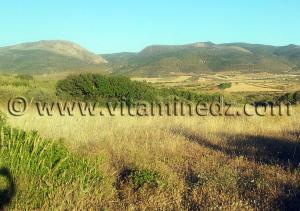 Terres à Tagma, Sidi El Abdelli