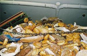 Algérie - Campagne du ministère de l’agriculture: Halte au gaspillage