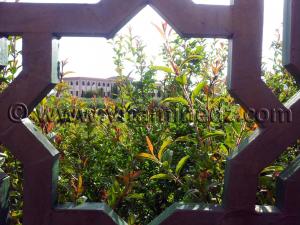 Parc National de Tlemcen (Siège à Lalla Setti)