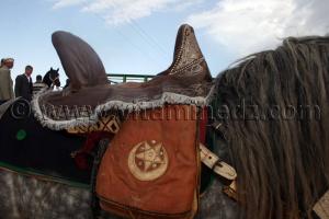 Salon du Cheval de Tiaret (8ème édition - Juin 2013) - Fantasia, fête populaire.