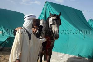 Salon du Cheval de Tiaret (8ème édition - Juin 2013) - Fantasia, fête populaire.