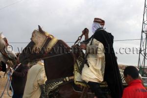 Salon du Cheval de Tiaret (8ème édition - Juin 2013) - Fantasia, fête populaire.