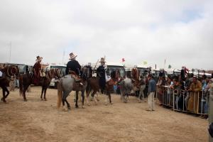 Salon du Cheval de Tiaret (8ème édition - Juin 2013) - Fantasia, fête populaire.