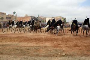Fantasia Salon du Cheval de Tiaret (8ème édition - Juin 2013)