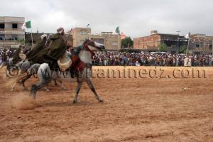 Fantasia Salon du Cheval de Tiaret (8ème édition - Juin 2013)