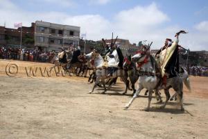 Salon du Cheval de Tiaret (8ème édition - Juin 2013) - Fantasia, fête populaire.