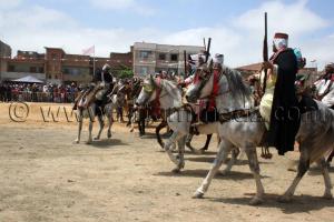 Salon du Cheval de Tiaret (8ème édition - Juin 2013) - Fantasia, fête populaire.