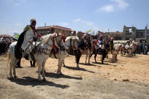 Salon du Cheval de Tiaret (8ème édition - Juin 2013) - Fantasia, fête populaire.