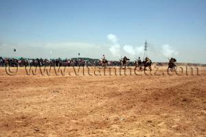 Salon du Cheval de Tiaret (8ème édition - Juin 2013) - Fantasia, fête populaire.