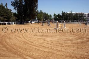 Centre equestre Emir Abdelkader de Tiaret, lors de la 8è Edition du Festival du cheval