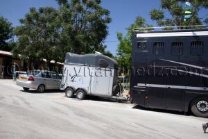 Transport des chevaux, professionnel de Mostaganem
