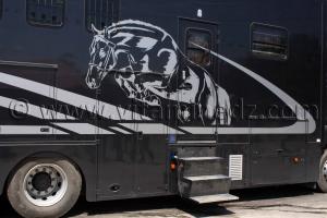 Transport des chevaux, professionnel