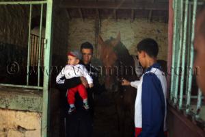 Centre equestre Emir Abdelkader de Tiaret