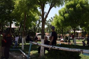 Centre equestre Emir Abdelkader de Tiaret, lors de la 8è Edition du Festival du cheval, Vente au enchères de pur sang arabes, Equitation et saut d\'obstacles.