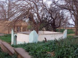 Darih de Sidi Yakoub (Abou- Yaqoub Yousef-ben-Abdallah), saint de Tlemcen