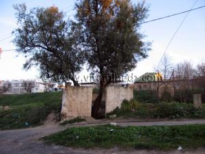 Darih de Lalla Kheira, non loin de sidi El haloui- Tlemcen