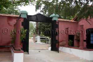 Le Haras de ChaouChaoua de Tiaret, vente de chevaux arabes