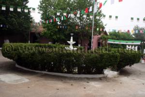 Bienvenue Haras de ChaouChaoua de Tiaret, vente de chevaux arabes