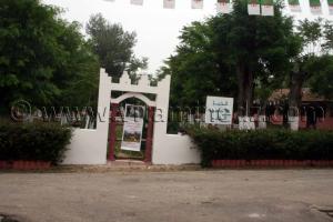 Photo Haras de ChaouChaoua de Tiaret, vente de chevaux arabes