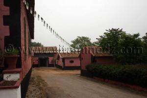 Photos Haras de ChaouChaoua de Tiaret
