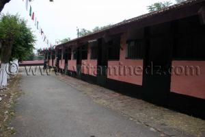 Le Haras de ChawChawa de Tiaret