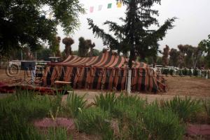 Khayma d\'invités au Haras de ChaouChaoua de Tiaret, vente de chevaux arabes