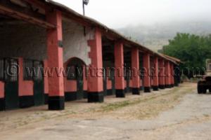 Boxes de chevaux Haras de ChaouChaoua de Tiaret
